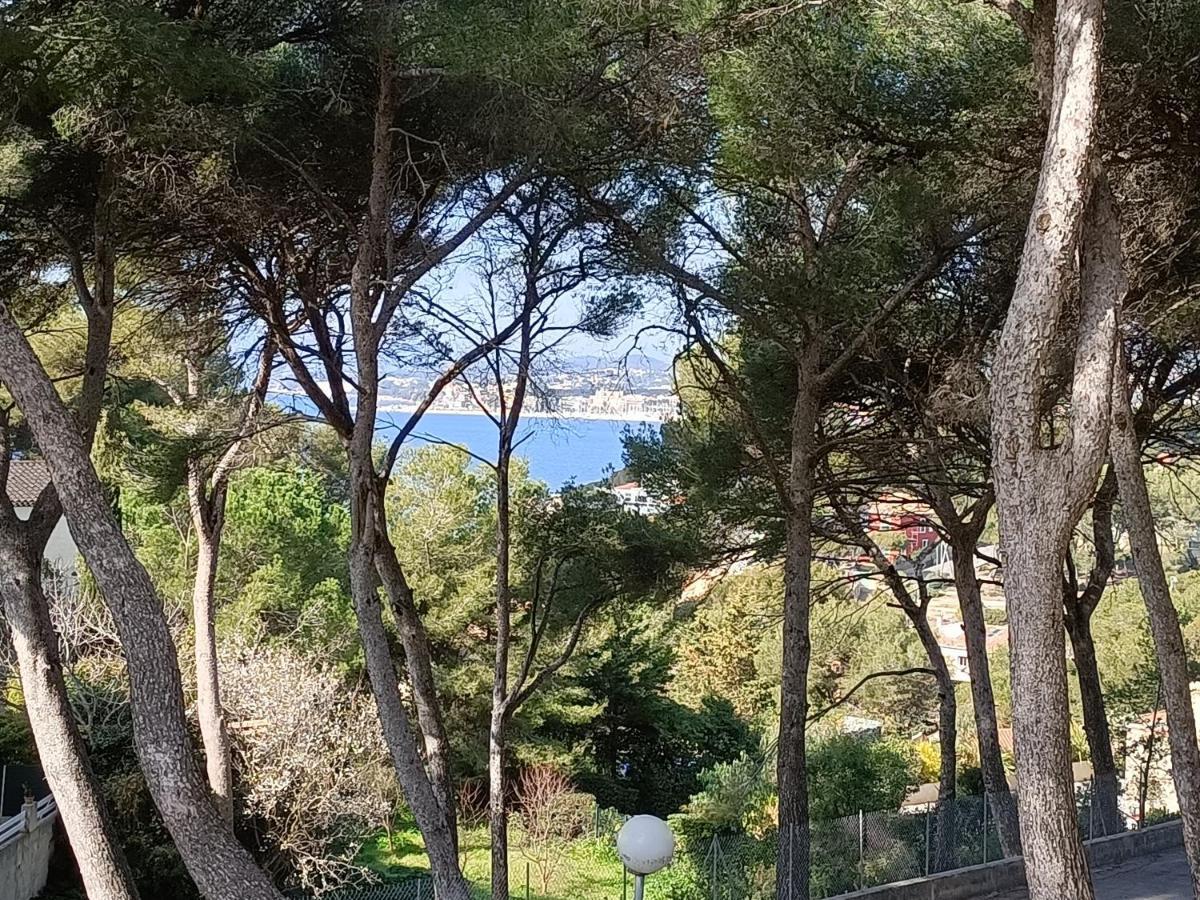 Appartement T2 Sanary Sur Mer Kültér fotó